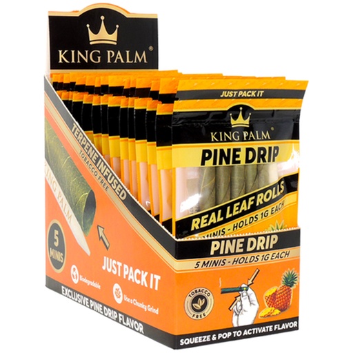 [INTREF02092] KING PALM 5 MINI PINE DRIP