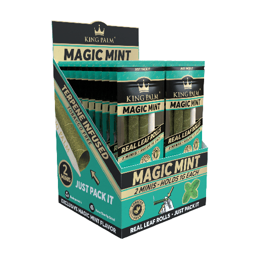 [INTREF02071] KING PALM 2 MINI MAGIC MINT