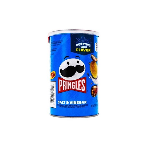 [INTREF03219] SAFE CAN PRINGLE MEDIUM SALT & VINEGAR